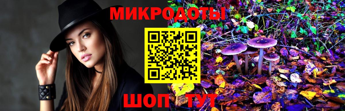Кудрово  хочу   Вход с VPN  Псилоцибиновые грибы Cubensis 
